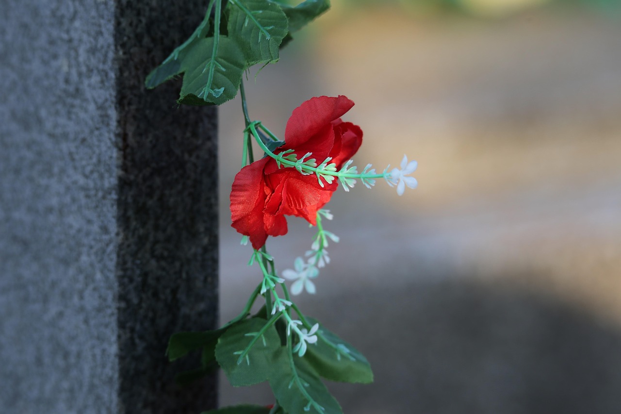 Friedhof mit würdevoller Grabgestaltung